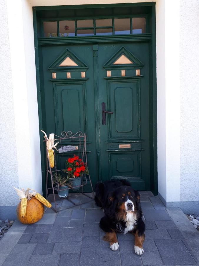 Dorfhof Bauer Apartment Riegersburg Exterior foto